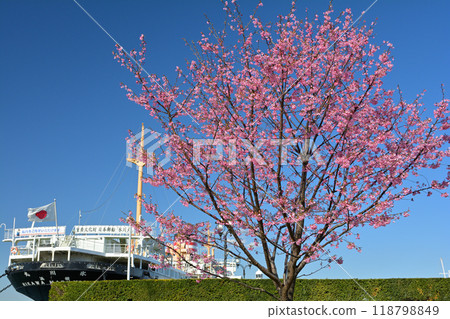 橫濱·山下公園 118798849