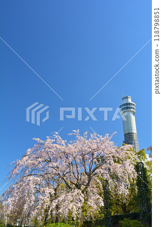 Yokohama · Yamashita Park 118798851