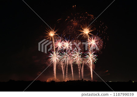 四大花火大師的盛宴<利根川花火大會2024> 四大花火大師的盛宴<利根川花火大會2024> 118799039