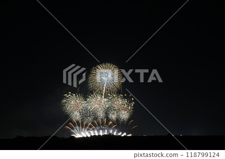 四大花火大師的盛宴<利根川花火大會2024> 118799124