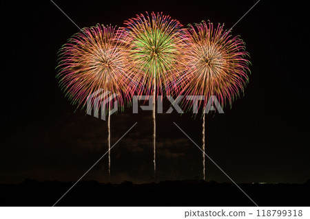 四大花火大師的盛宴<利根川花火大會2024> 118799318