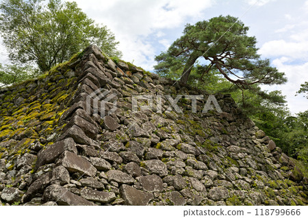 日本百座著名城堡和小森城 日本百座著名城堡和小森城 118799666