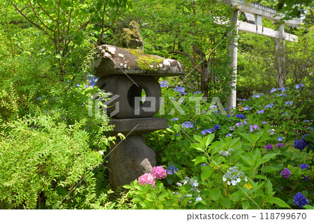 100 famous castles in Japan and Komoro castle 100 famous castles in Japan and Komoro castle 118799670
