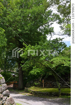 100 famous castles in Japan and Komoro castle 118799673