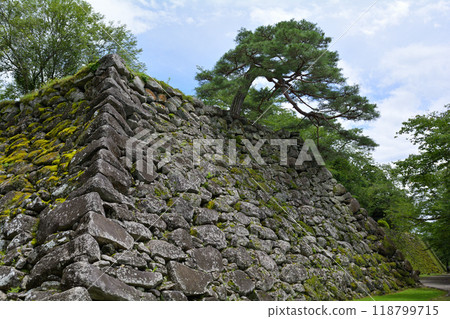 日本百座著名城堡和小森城 118799715