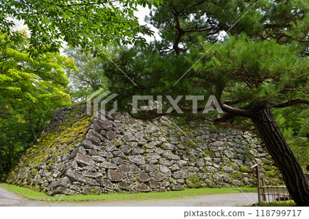 日本百座著名城堡和小森城 日本百座著名城堡和小森城 118799717