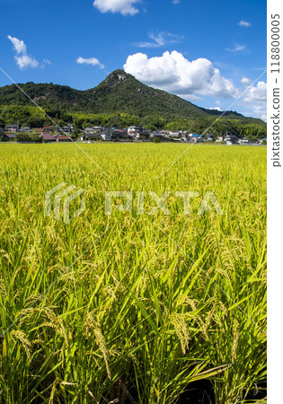 廣島縣吳市鄉原町城山麓的田園風光 廣島縣吳市鄉原町城山麓的田園風光 118800005