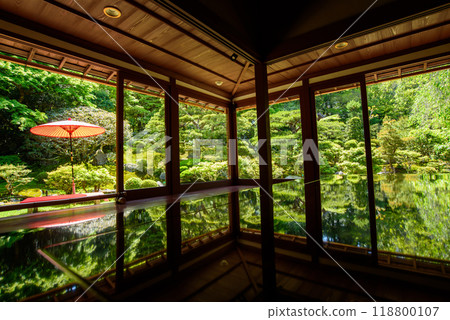 Vermilion umbrellas and fresh greenery reflected at Kyu-Chikurin-in Temple 118800107