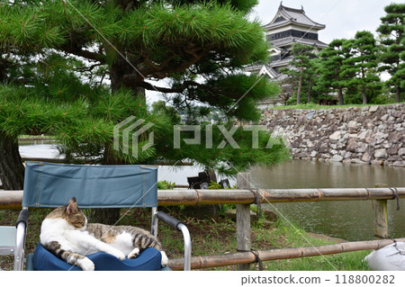 100 famous castles in Japan and Matsumoto castle 100 famous castles in Japan and Matsumoto castle 118800282