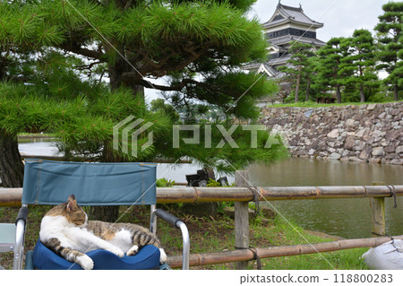 日本百座著名城堡和松本城堡 日本百座著名城堡和松本城堡 118800283
