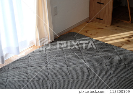 Curtains and carpets 118800509