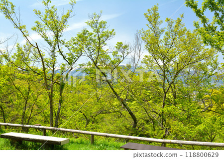 日本100座精美城堡，高遠城 118800629