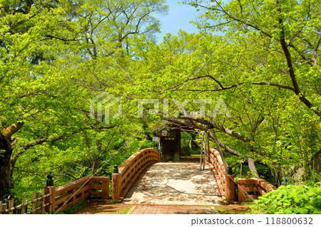 100 Fine Castles of Japan, Takato Castle 118800632