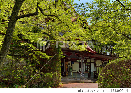 日本100座精美城堡，高遠城 118800644