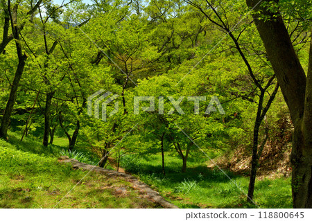 100 Fine Castles of Japan, Takato Castle 100 Fine Castles of Japan, Takato Castle 118800645