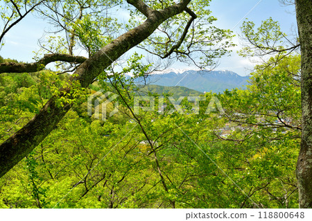 100 Fine Castles of Japan, Takato Castle 118800648