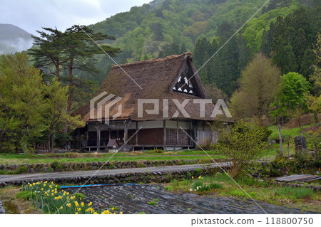 World Heritage · Shirakawago World Heritage · Shirakawago 118800750