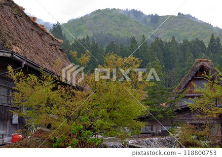世界遺產·白川鄉 118800753