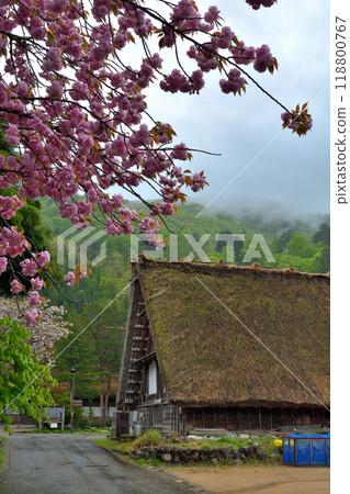 世界遺產·白川鄉 118800767