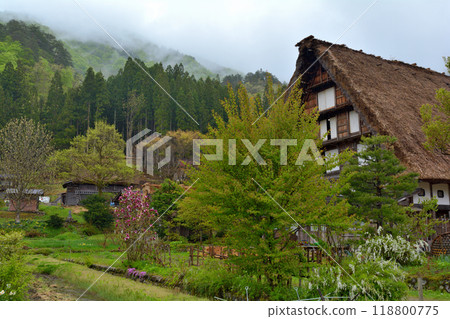 World Heritage · Shirakawago 118800775