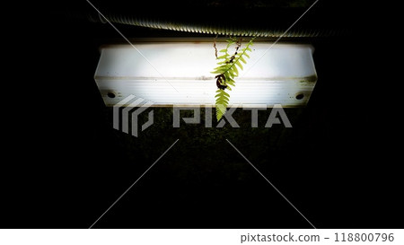 立山赤山地下方掩體遺址的室內電燈 立山赤山地下方掩體遺址的室內電燈 118800796