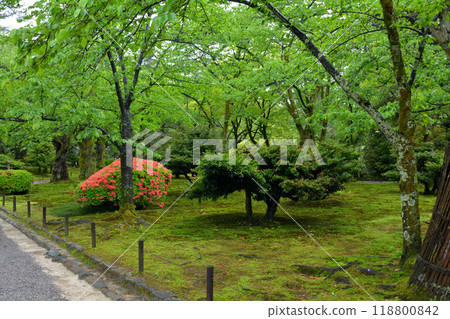 Kanazawa · Kenrokuen 118800842
