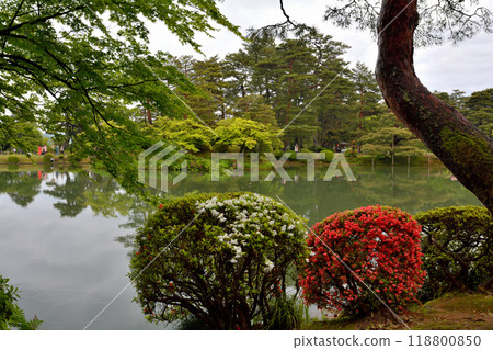 Kanazawa · Kenrokuen 118800850