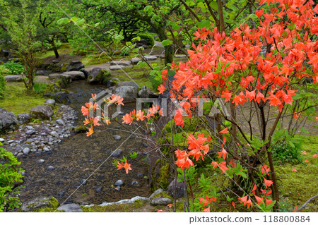Kanazawa · Kenrokuen 118800884
