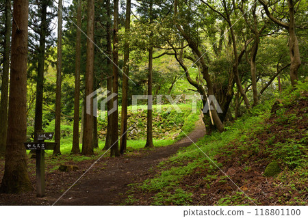 100 Fine Castles of Japan, Nanao Castle 118801100