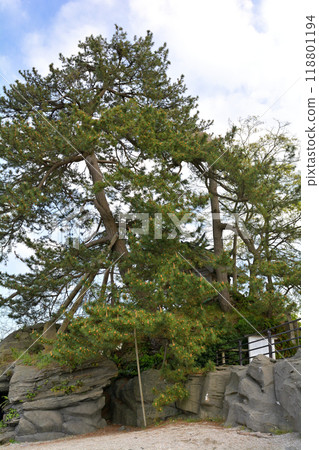 Toyama / Amaharashi Coast 118801194