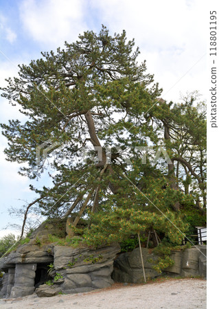 Toyama / Amaharashi Coast 118801195