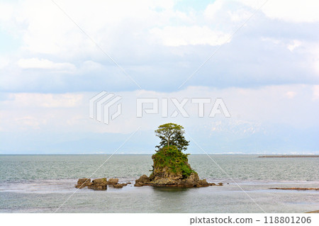 Toyama / Amaharashi Coast 118801206