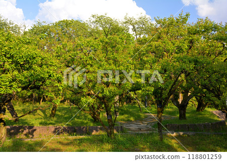 100 Fine Castles of Japan, Takaoka Castle 100 Fine Castles of Japan, Takaoka Castle 118801259