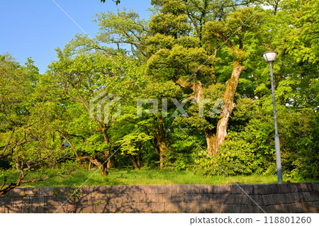 100 Fine Castles of Japan, Takaoka Castle 118801260