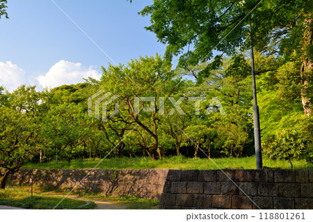 100 Fine Castles of Japan, Takaoka Castle 118801261