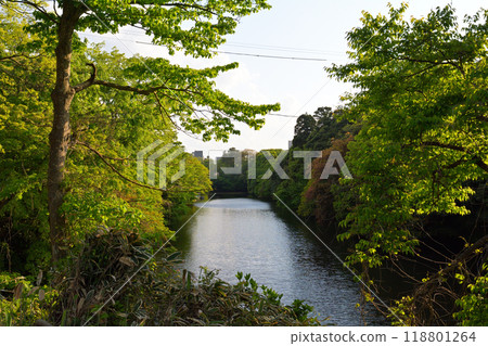 日本百城名城高岡城 日本百城名城高岡城 118801264