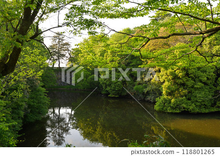 日本百城名城高岡城 日本百城名城高岡城 118801265