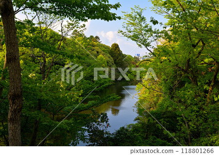 日本百城名城高岡城 日本百城名城高岡城 118801266