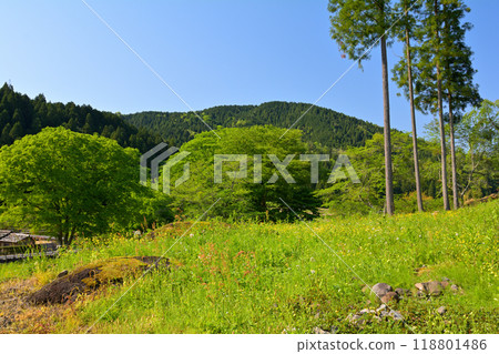 日本的100個精美城堡，一乘谷城 118801486