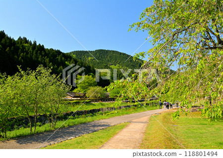 100 Fine Castles of Japan, Ichijodani Castle 118801494