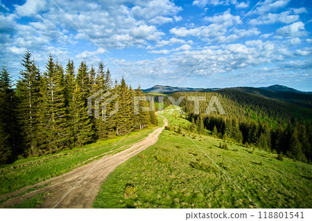 Scenic view of dirt road winding through lush, green landscape with dense forests and rolling hills. Tall pine trees line path under partly cloudy sky, creating picturesque and tranquil setting. Scenic view of dirt road winding through lush, green landscape with dense forests and rolling hills. Tall pine trees line path under partly cloudy sky, creating picturesque and tranquil setting. 118801541