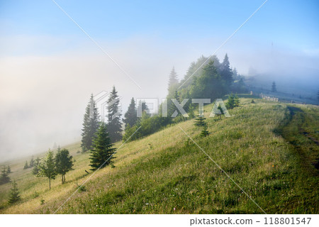 Misty morning in mountain valley. Layers of fog drift through lush green forests, creating serene and mystical atmosphere. Distant hills and peaks rise majestically under clear blue sky. Misty morning in mountain valley. Layers of fog drift through lush green forests, creating serene and mystical atmosphere. Distant hills and peaks rise majestically under clear blue sky. 118801547
