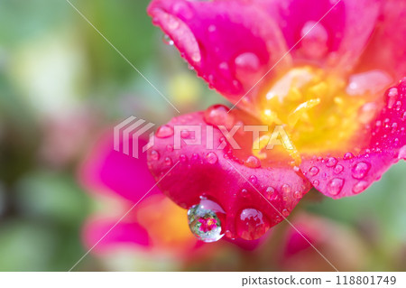 Water droplets Water droplets 118801749