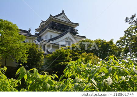 100 Fine Castles of Japan, Okazaki Castle 100 Fine Castles of Japan, Okazaki Castle 118801774