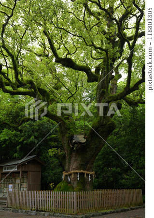 Atsuta Shrine, Nagoya 118801805
