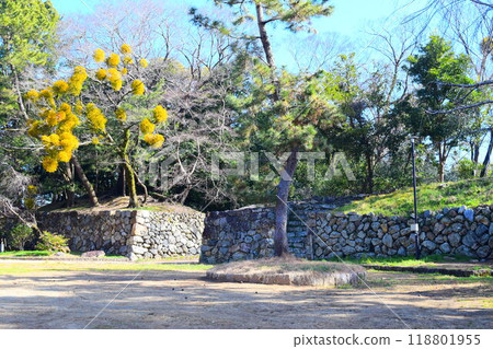 【上接日本名城百選】吉田城跡 【上接日本名城百選】吉田城跡 118801955