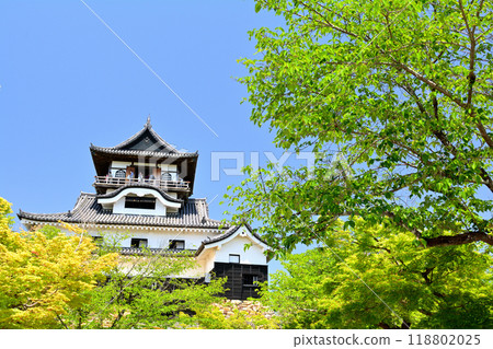 日本名城百選犬山城 118802025