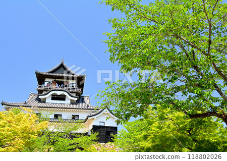 Japan's Top 100 Castles, Inuyama Castle Japan's Top 100 Castles, Inuyama Castle 118802026