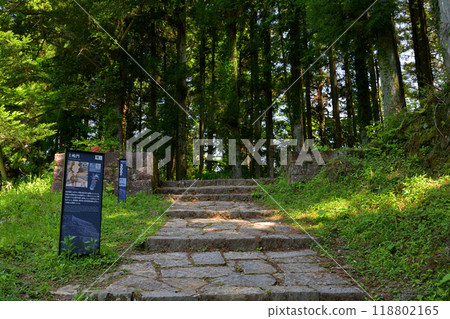 Japan's Top 100 Castles, Iwamura Castle 118802165