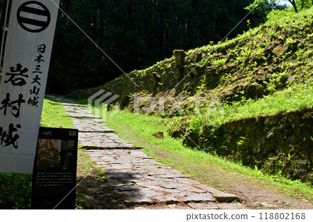 Japan's Top 100 Castles, Iwamura Castle 118802168